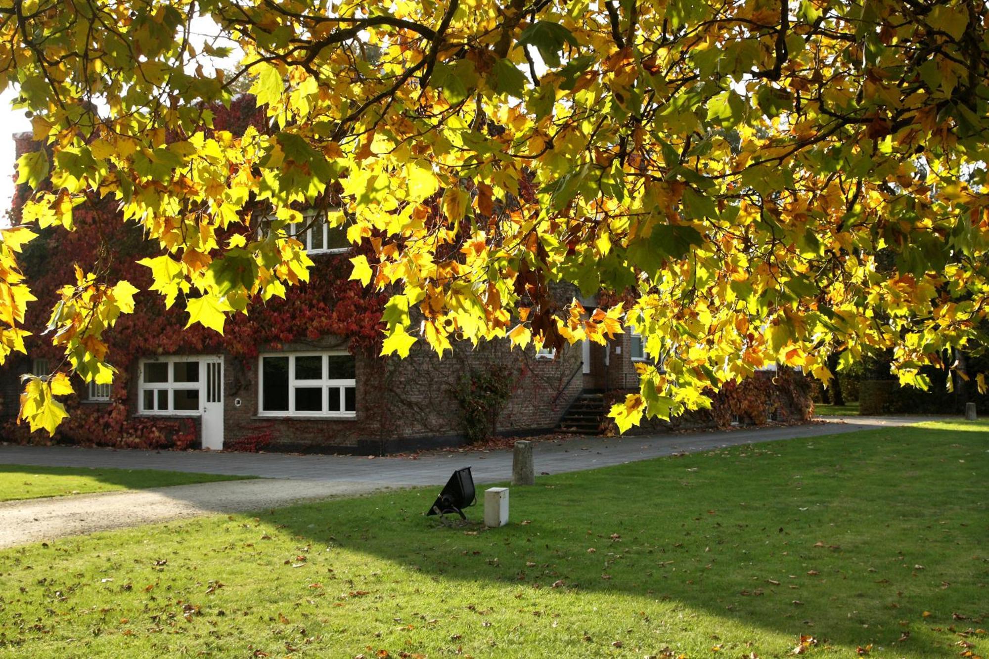 Bed & Breakfast Lievejan Jabbeke (West-Flanders)